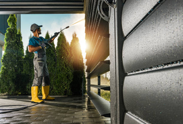 Best Spring Cleaning  in Crainvle, IL
