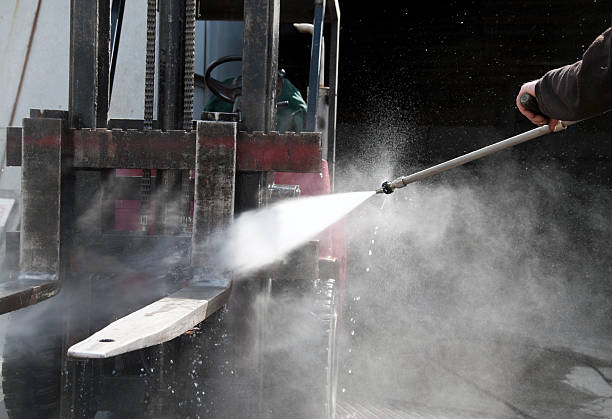 Best Pre-Holiday Cleaning  in Crainvle, IL